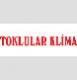 Toklular Klima